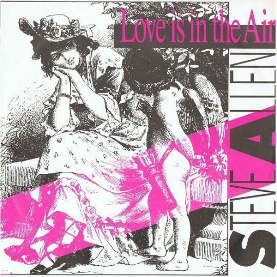 Coverafbeelding Love Is In The Air - Steve Allen