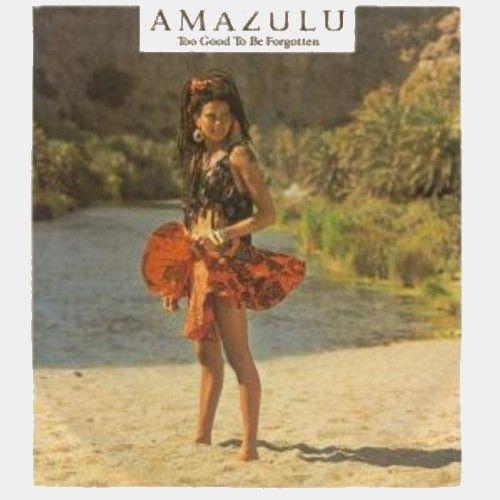 Coverafbeelding Too Good To Be Forgotten - Amazulu