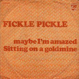 Coverafbeelding Maybe I'm Amazed - Fickle Pickle