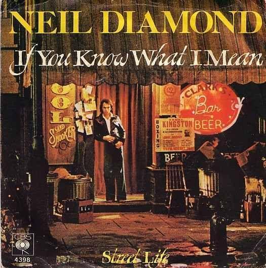 Coverafbeelding Neil Diamond - If You Know What I Mean