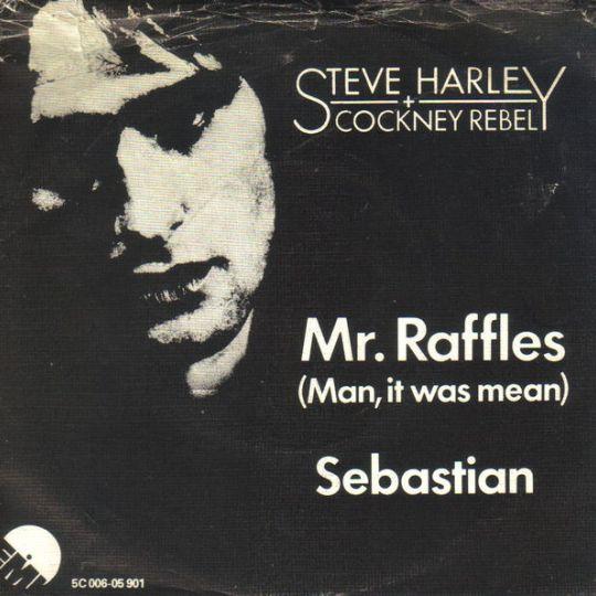 Coverafbeelding Mr. Raffles (Man, It Was Mean) - Steve Harley + Cockney Rebel
