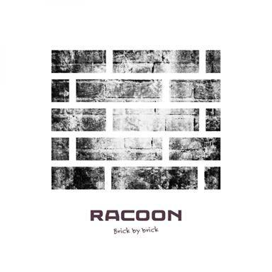 Coverafbeelding Racoon - Brick by brick