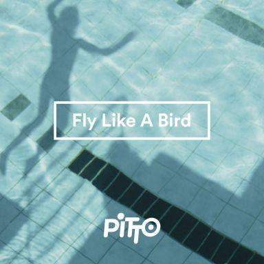 Coverafbeelding Pitto - Fly like a bird (the summer story)