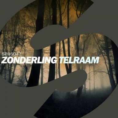 Coverafbeelding Zonderling - Telraam
