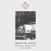 Coverafbeelding Marvin Gaye - Sexual healing (Kygo remix)