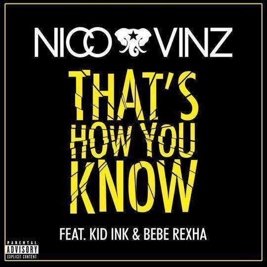 Coverafbeelding Nico & Vinz feat. Kid Ink & Bebe Rexha - That's how you know