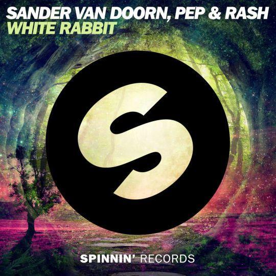 Coverafbeelding Sander Van Doorn & Pep & Rash - White rabbit