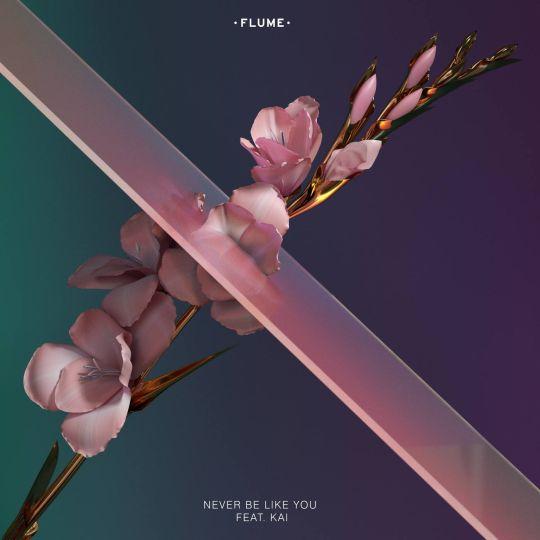 Coverafbeelding Flume feat. Kai - Never be like you