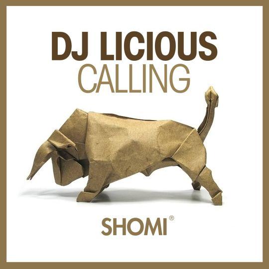 Coverafbeelding DJ Licious - Calling