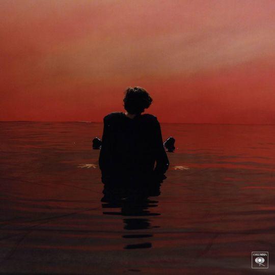 Coverafbeelding Harry Styles - Sign Of The Times