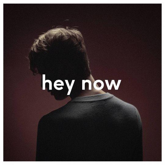 Coverafbeelding Wouter Hamel - Hey now