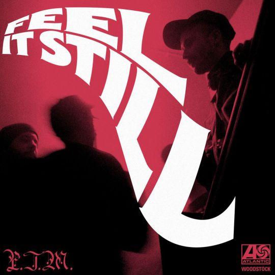 Coverafbeelding Feel It Still - P.t.m.